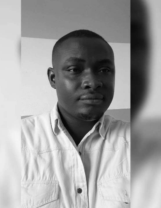 Digital Strategist